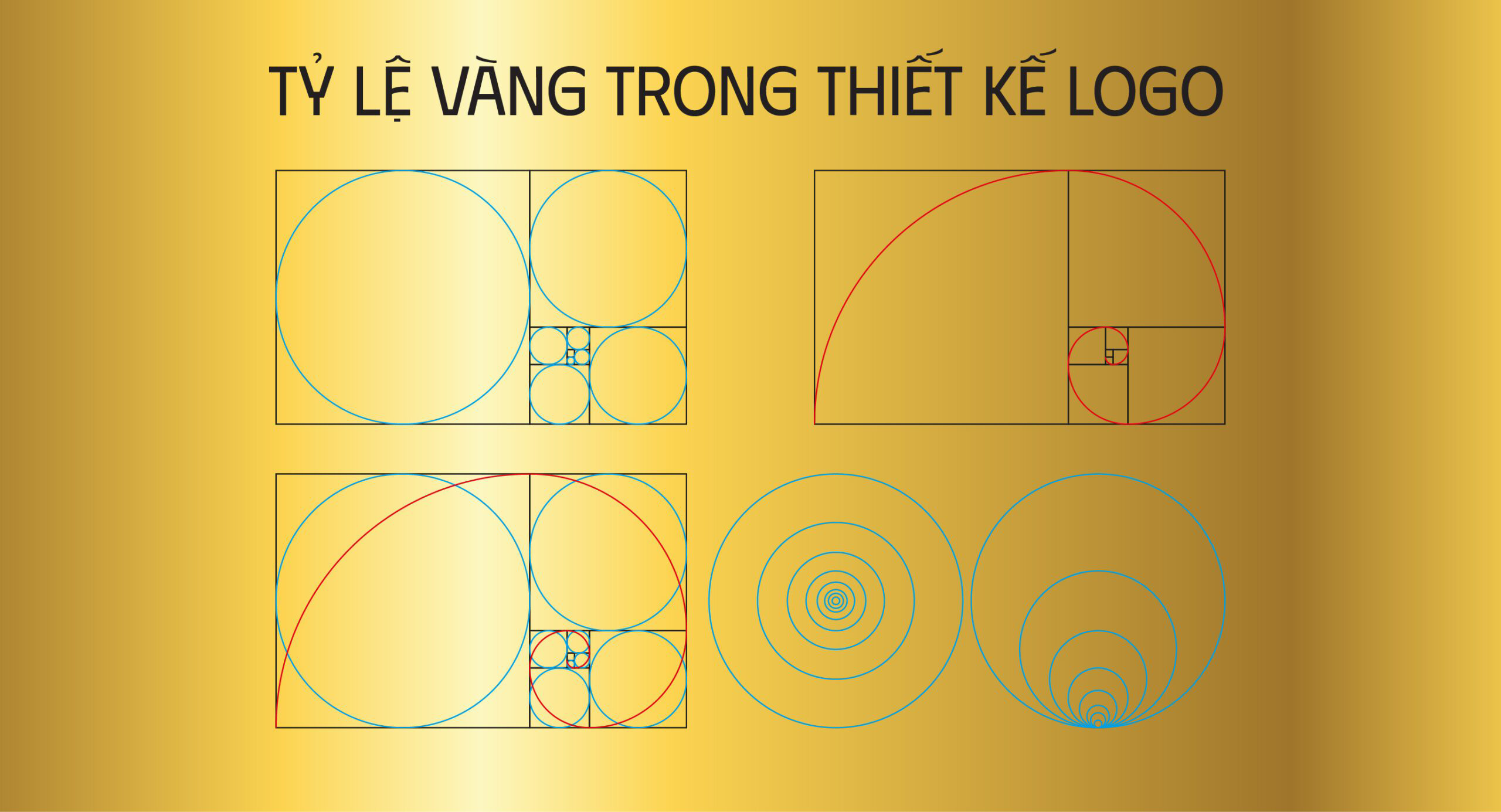 Tỷ lệ và bố cục chuẩn trong thiết kế logo