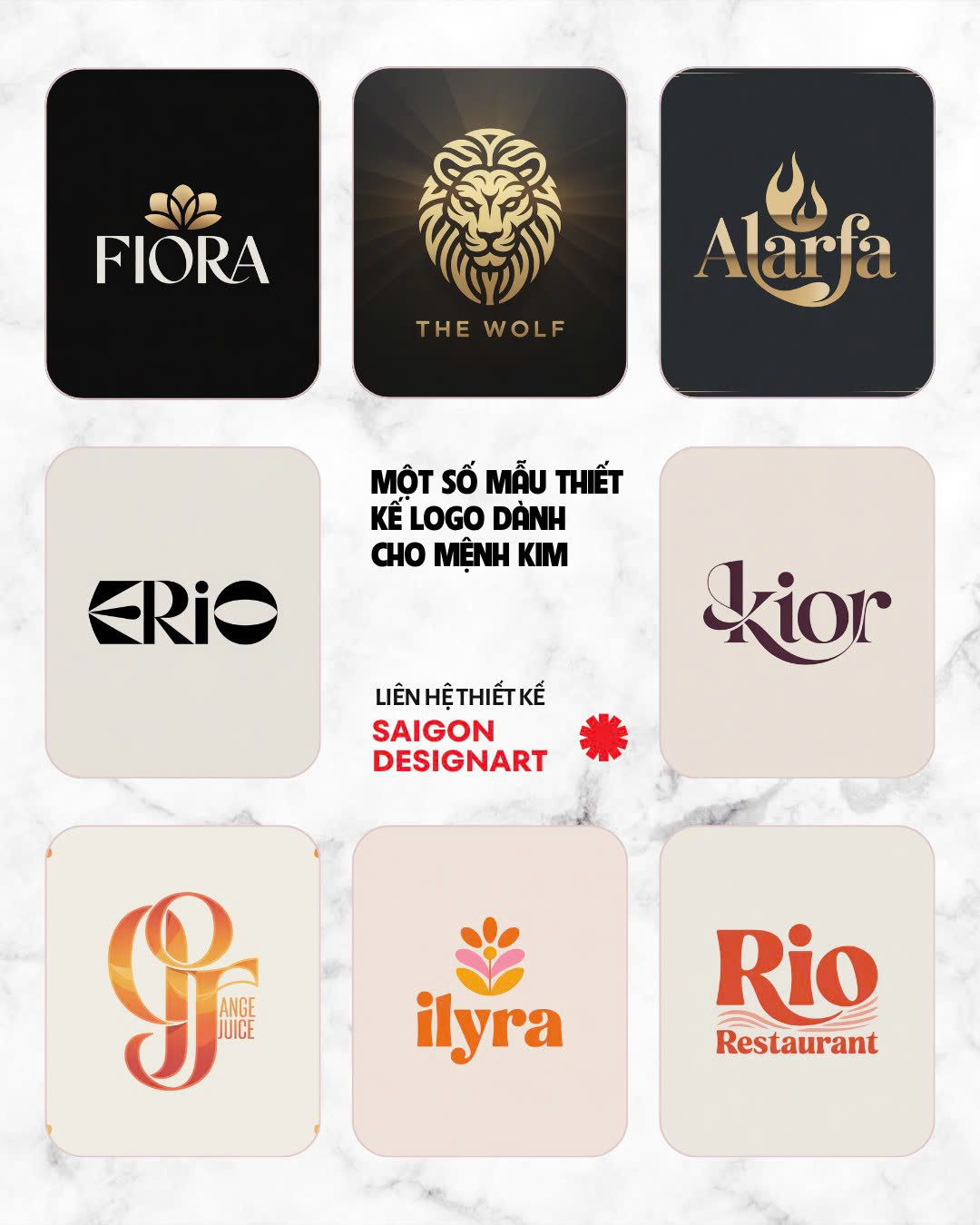 Thiết kế logo phong thủy mệnh Thủy