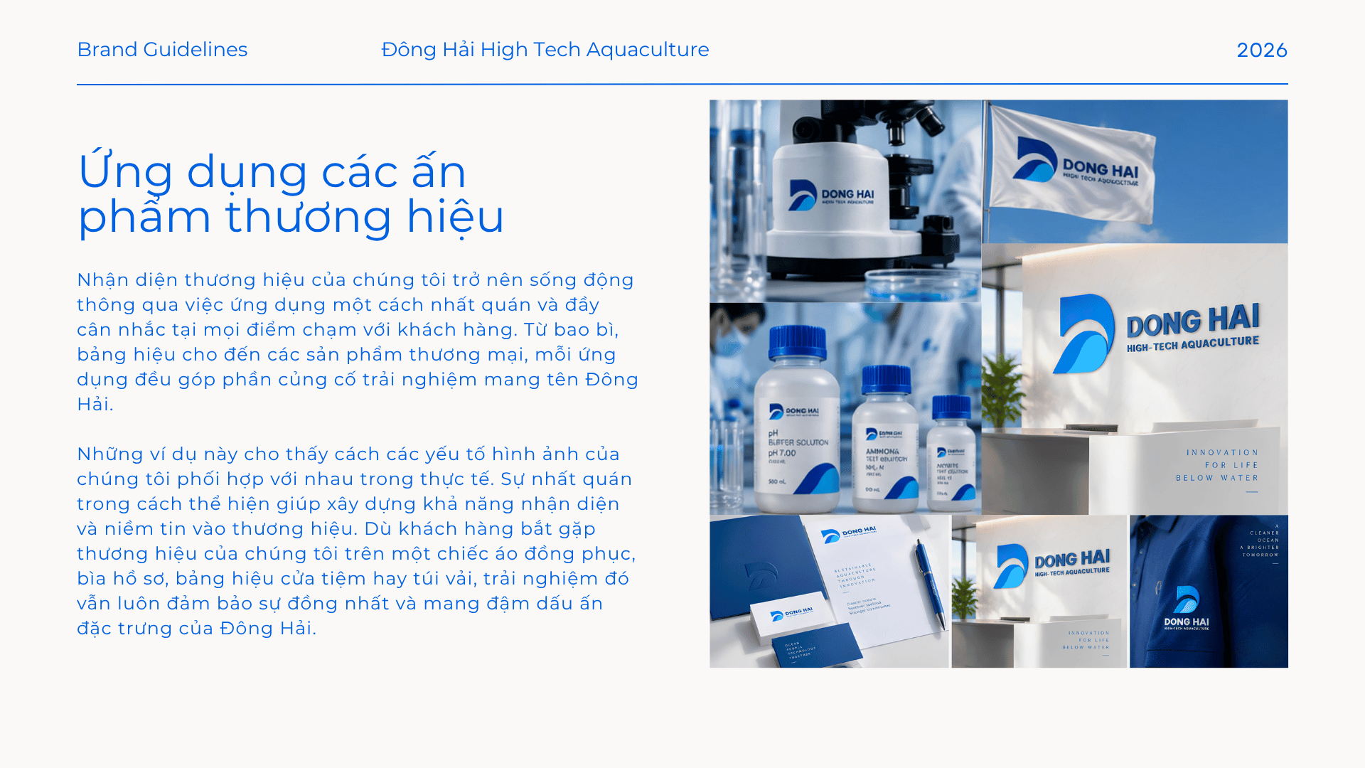 Ấn phẩm thiết kế nhận diện thương hiệu