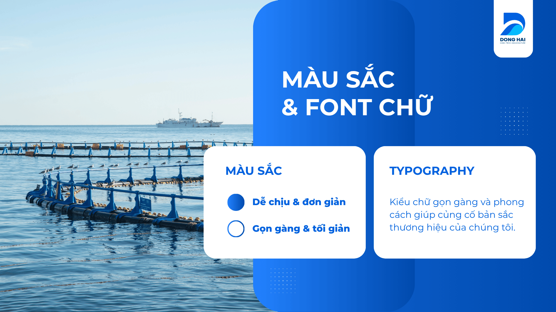 Màu sắc và font chữ trong thiết kế nhận diện